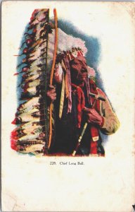 USA Chief long Bull Indian Native American Vintage Postcard 04.13