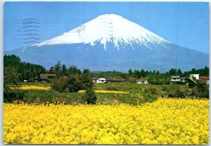 M-89331 Mount Fuji & Rape Blossoms Japan