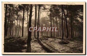 The Landes de Gascogne Old Postcard Last sun d & # 39ete first haze & # 39aut...
