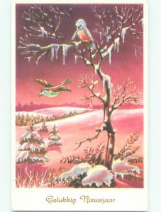 foreign Pre-1980 New Year BIRDS ON SNOWY TREE AC6770