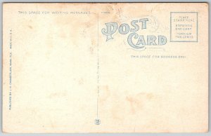 Snowy Heron Egretta Candidissima Florida 1920s Postcard