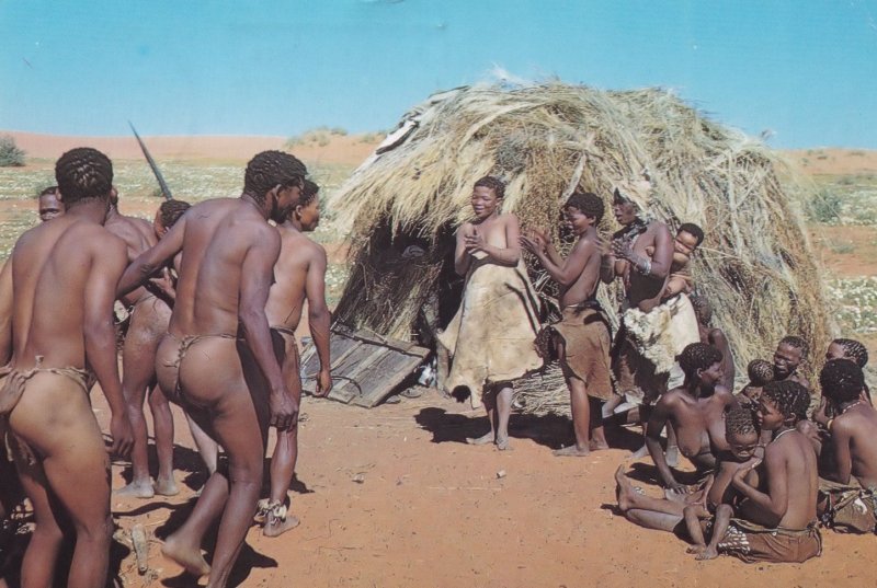 Bushmen Dance Bushman Naked Men Showing Lady Dancing South Africa Postcard