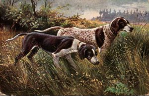 Dogs Hunting Hounds 1908