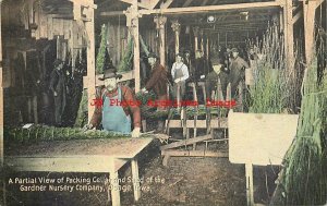 IA, Osage, Iowa, Gardner Nursery Company, Packing Cellar, Shed, Gilbert Pub