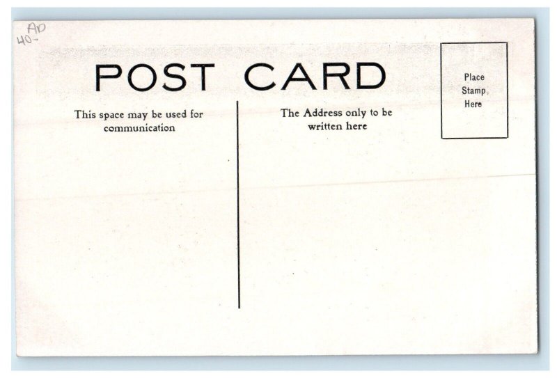 c1910's Spinning Flax Dives Pomeroy & Stewart Line Store Advertising Postcard