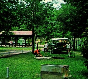 Rising Fawn Georgia GA Cloudland Canyon Camping Unused UNP Chrome Postcard S21