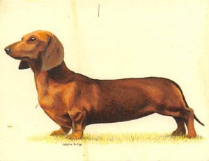 Approx. Size: 2.5 x 3 Dachshunds, (Modern 1999 Card)  Late 1800's Tradecard N...