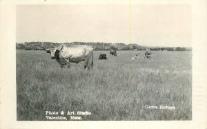 Postcard RPPC Nebraska Valentine Game Refuge 1954 23-3029
