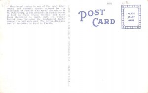 Dog Racing St Petersburg, Florida, USA Postcard