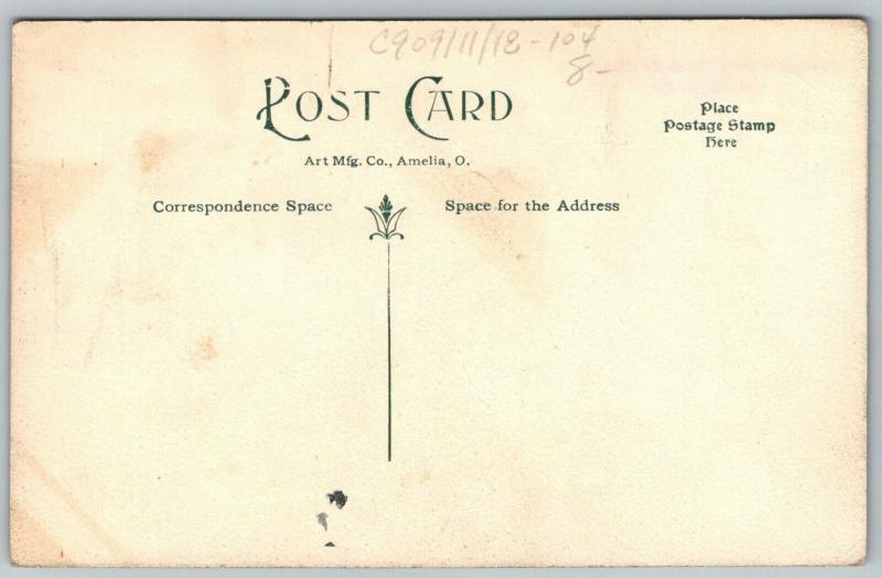 Archbold Ohio~People's State Bank~Rupp Bros Dry Goods Store~Millinery~c1910