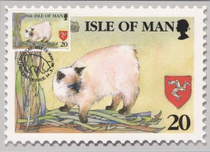 Animals Postcard - Isle of Man, Manx Cats, 1st Day of Issue Stamp  Ref.RR15735