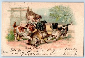 Hungary Postcard Puppy Dog Playing Animal 1907 Posted Antique