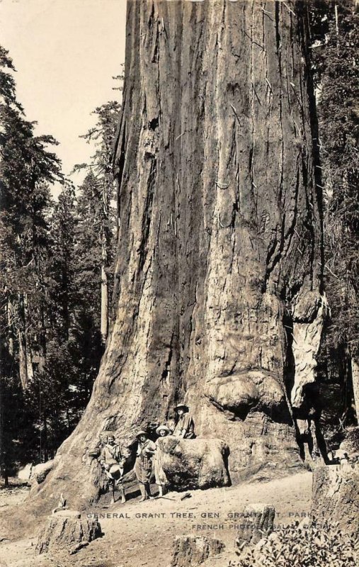 RPPC General Grant Tree CA National Park French Photo c1920s Vintage Postcard 