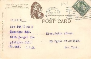 Town View Liberty, New York NY