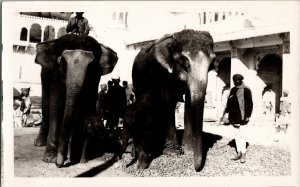 RPPC Vintage Postcard Elephants Babies Mahouts India Chained KJ5