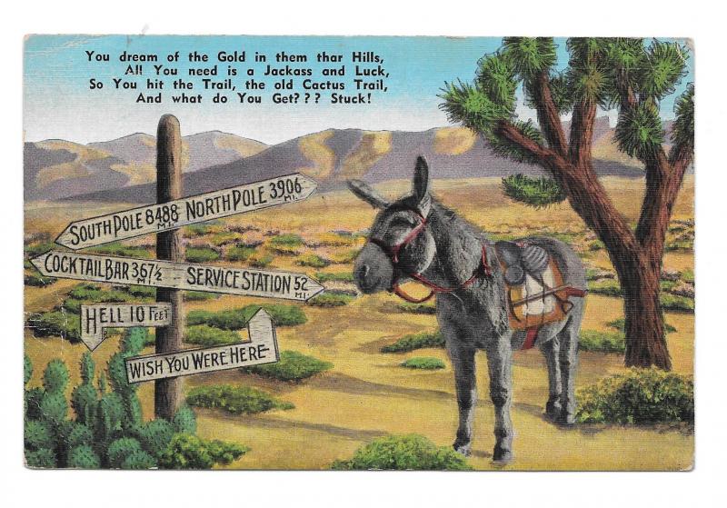All You Need Jackass and Luck Signpost Cactus Gold Mule Ass Humorous Postcard