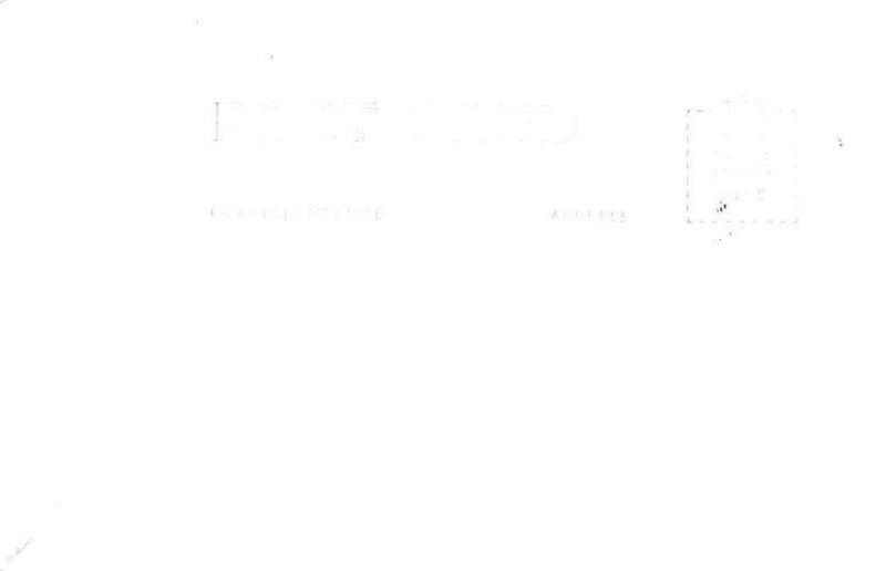 Silver Springs State Park River Front - Silver Springs, Florida FL