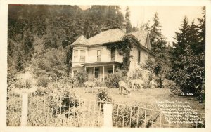 RPPC Postcard Deer Park Inn Douglas County North Of Grants Pass OR A 46