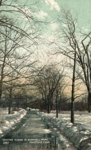 Vintage Postcard 1909 Winter Scene In Bushnell Park Hartford Connecticut CT