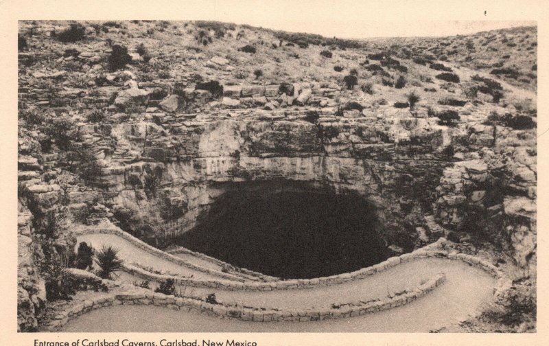 Vintage Postcard Entrance Of Carlsbad Caverns Winding Trails Carlsbad New Mexico