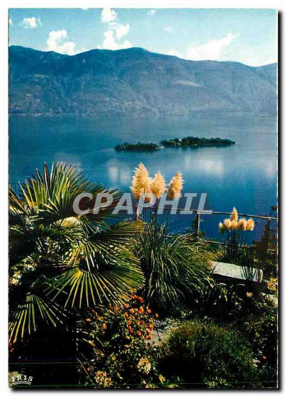 Postcard Modern Ronco S Ascona Lago Maggiore Vista sulle Brissago