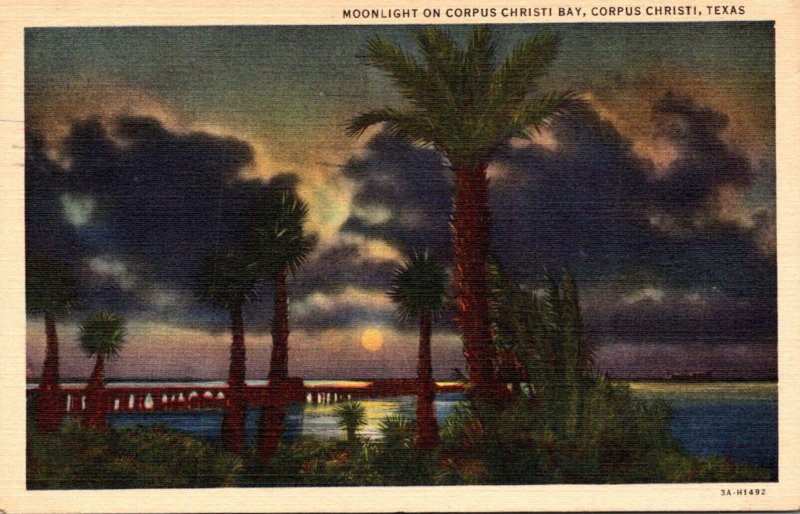 Texas Corpus Christi Moonlight On Corpus Christi Bay 1951 Curteich