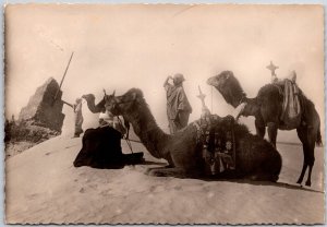 Collection Saharienne Dernniere Halte La Palmeraie est Proche Real RPPC Postcard