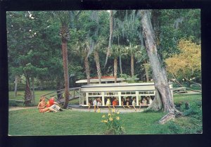 Silver Springs, Florida/FL Postcard, Electric Glass Bottom Boat At Dock