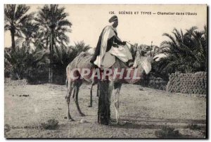 Old Postcard Morocco Scenes And Types Chamelier in The Oasis Camel Camel