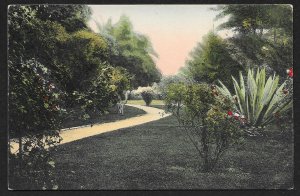 Park Scene Pomona California Unused c1910s