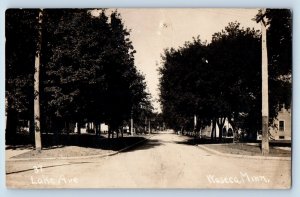 Waseca Minnesota MN Postcard RPPC Photo Lake Avenue View Tree Lined 1914 Antique