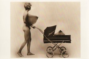 Titty Stroller Alfred's Daydreams Snap A Shot Postcards 1983 by Alfred G...