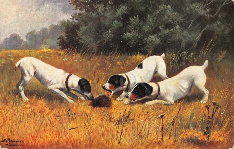 FOX TERRIERS HAVE ANIMAL SURROUNDED -1910s GERMAN ARTIST POSTCARD