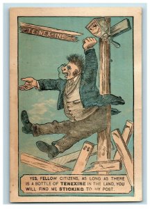 1870's Egyptian Tenexine Liquid Glue Comical Man Glued To Post P166