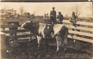 J6/ Interesting RPPC Postcard c1910 Famers Fence Cows Pen 56