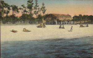 Sebring FL Kenilworth Lodge Hand Colored Postcard