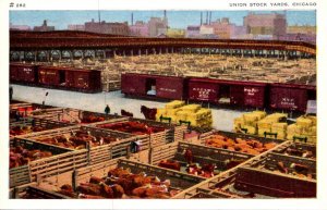 Illinois Chicago Union Stock Yards
