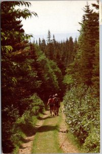 Canada Gaspe Starting A Trail In Forillon National Park