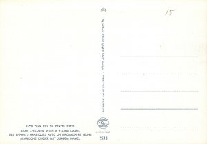 CONTINENTAL SIZE POSTCARD ARAB CHILDREN WITH A YOUNG CAMEL