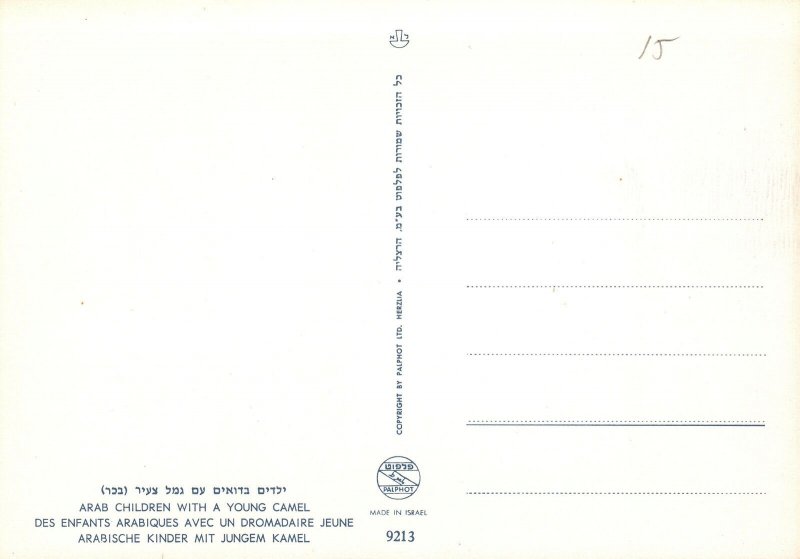 CONTINENTAL SIZE POSTCARD ARAB CHILDREN WITH A YOUNG CAMEL