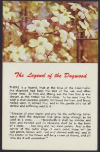 The Legend of the Dogwood Postcard