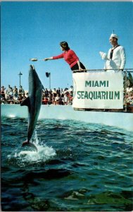 Florida Miami Seaquarium Feeding Time