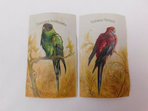 Lot Of 9 Victorian Scrap Trade Cards Wild Birds Goura Coronata Etc CA87