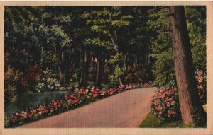 VINTAGE POSTCARD PEACFUL GARDENS & WALKWAY ON FRESH (UNIDENTIFIED) LINEN CARD