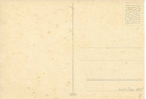 Cat posing under a parasolModern German photo postcard 1970s