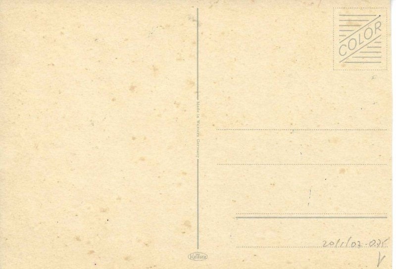 Cat posing under a parasolModern German photo postcard 1970s