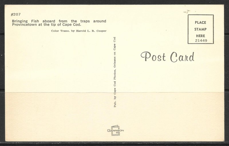 Massachusetts, Cape Cod - Bringing Fish Aboard From Traps - [MA-101]