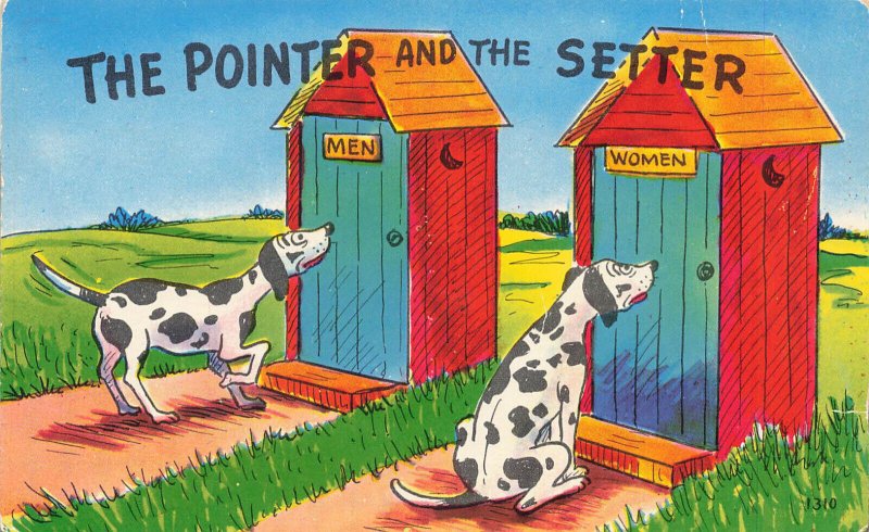The Pointer And The Setter Out Houses Colourpicture Boston MA Postcard