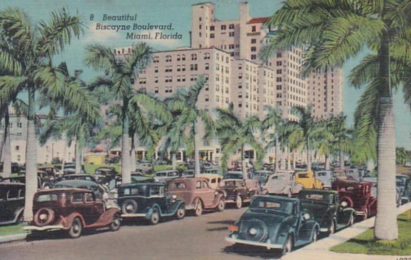 Florida Miami Scene On Biscayne Boulevard