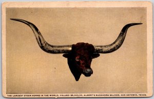 San Antonio TX-Texas, African Steer Head Horns Albert's Buckhorn Saloon Postcard